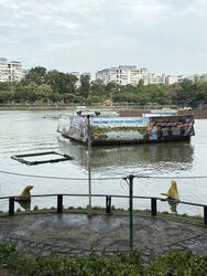 Blk 537 Pasir Ris Street 51 (Pasir Ris), HDB Executive #491769421